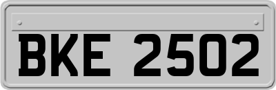 BKE2502