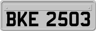 BKE2503
