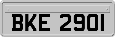 BKE2901