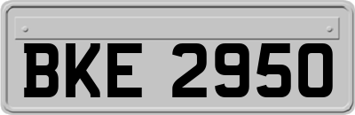 BKE2950