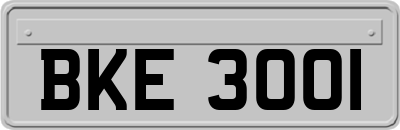 BKE3001