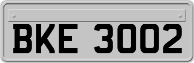 BKE3002