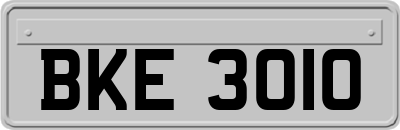 BKE3010