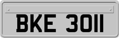 BKE3011