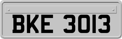 BKE3013