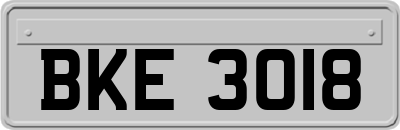BKE3018