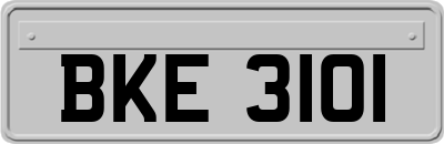 BKE3101