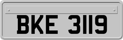 BKE3119