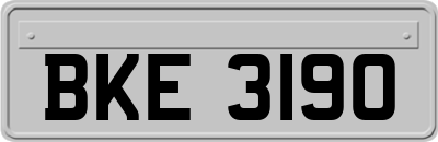 BKE3190