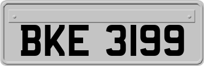 BKE3199