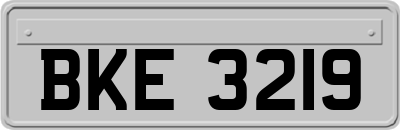 BKE3219