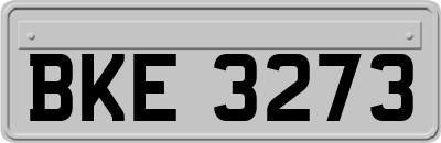 BKE3273