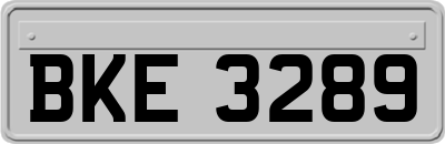 BKE3289