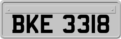 BKE3318