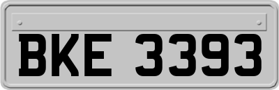 BKE3393