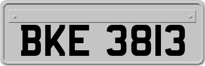 BKE3813