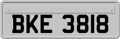BKE3818