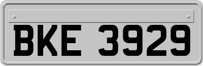 BKE3929