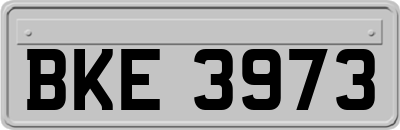 BKE3973