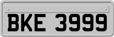 BKE3999