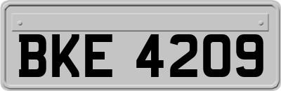 BKE4209
