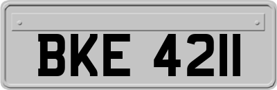BKE4211
