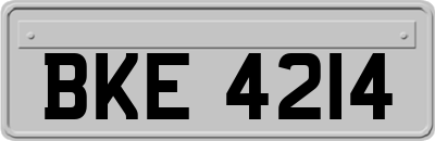 BKE4214