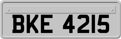 BKE4215