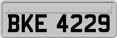 BKE4229