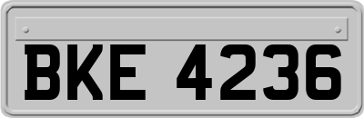 BKE4236