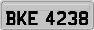 BKE4238