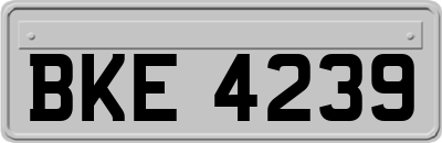 BKE4239