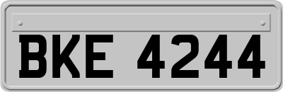 BKE4244