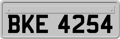 BKE4254