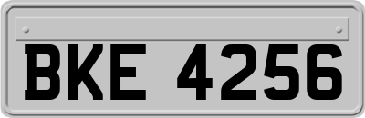 BKE4256