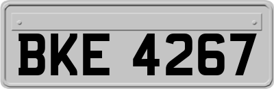 BKE4267