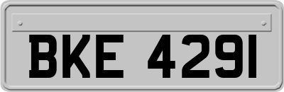 BKE4291