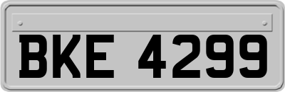 BKE4299
