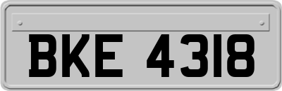 BKE4318
