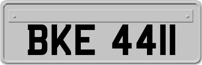 BKE4411