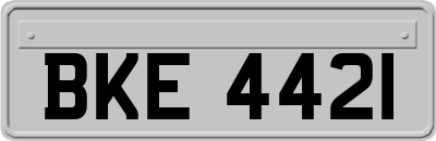 BKE4421