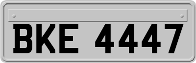 BKE4447