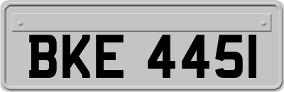 BKE4451