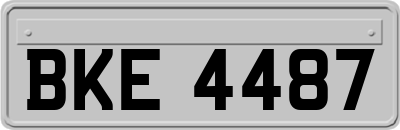 BKE4487