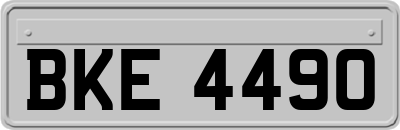 BKE4490