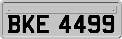 BKE4499