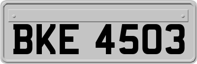 BKE4503