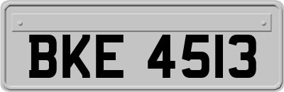 BKE4513