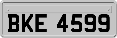BKE4599