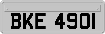 BKE4901